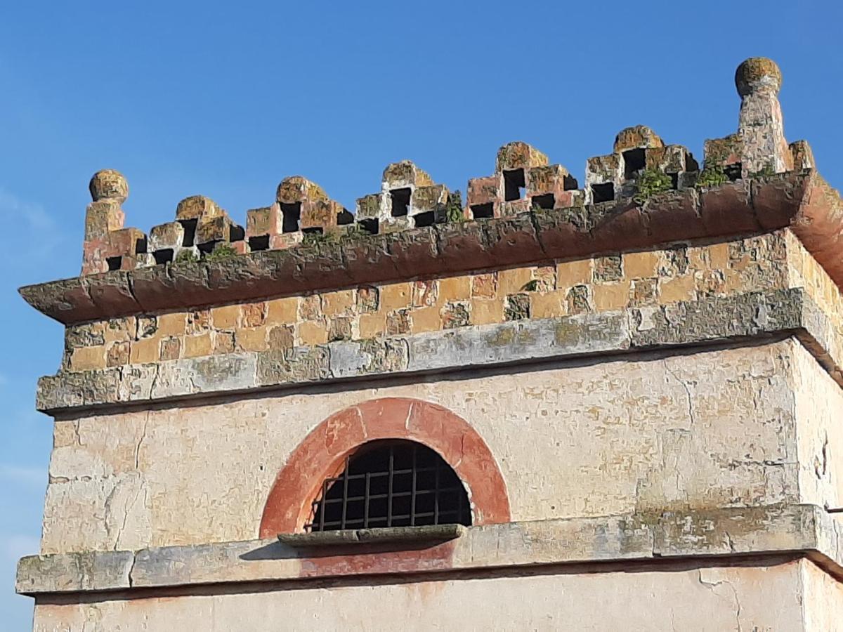 Masseria Pagani Нардо Экстерьер фото