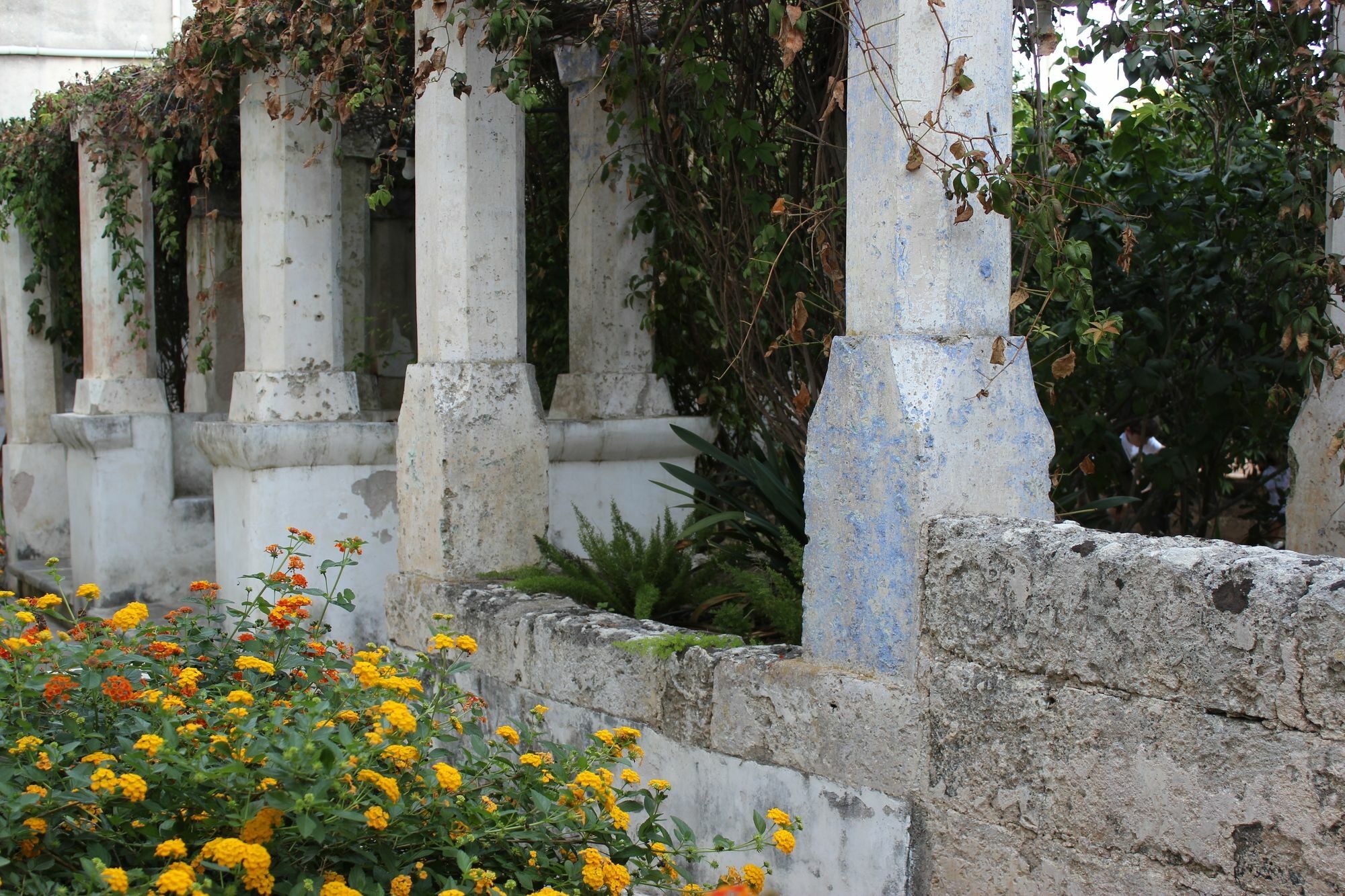 Masseria Pagani Нардо Экстерьер фото